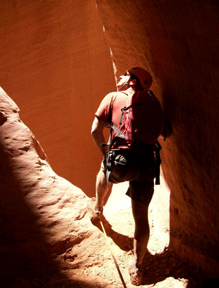 Into the Light