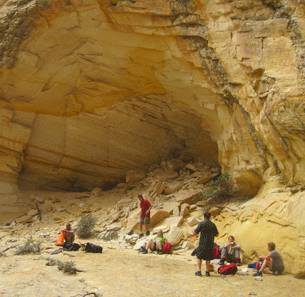 Native Shelter