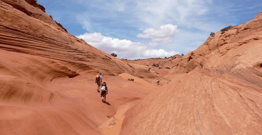 Escalante Sidewalk