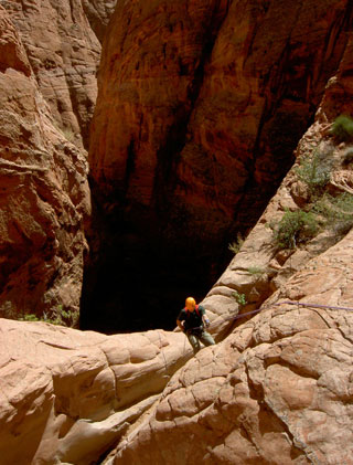 The Abyss